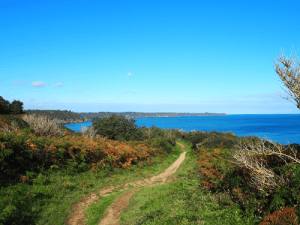 vue à partir des falaises de Plouha, dans les côtes d'armor