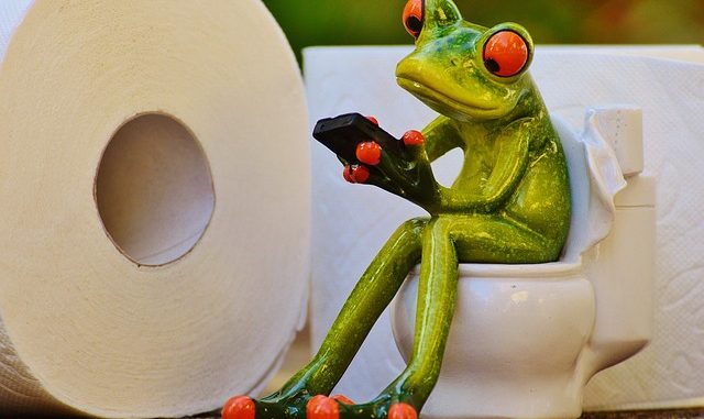 grenouille lisant sur des toilettes