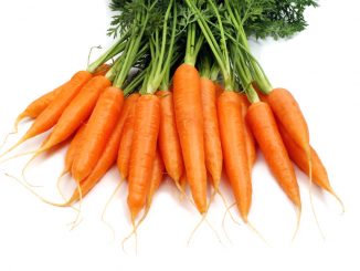 Monodiète de carottes