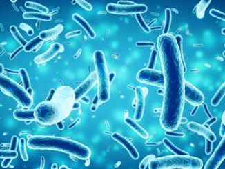 bacteries-composant-le-microbiote-intestinal