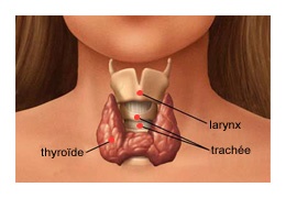 signes-hypothyroidie